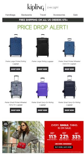 Bags and luggage industry email marketing trends - MailCharts